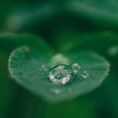 Climate Officer